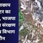 Singrauli News : झोलाछाप डॉक्टर का आतंक, भाजपा नेता का संरक्षण, स्वास्थ्य विभाग मौन....