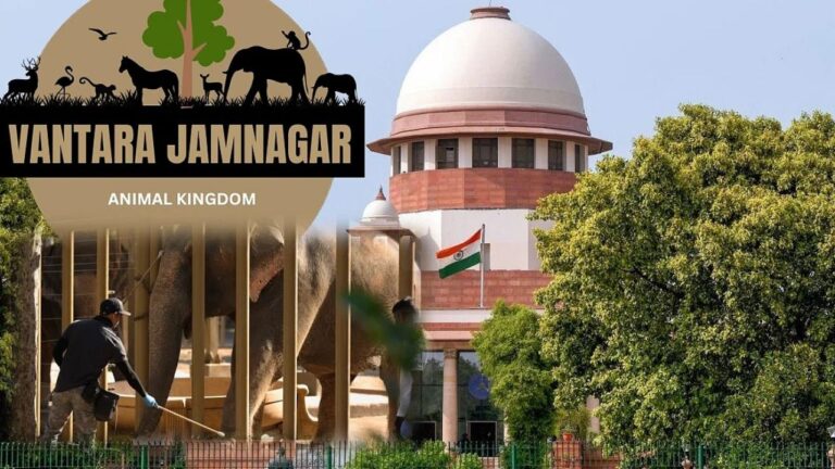 SIT जांच करेगा अंबानी के वनतारा सेंटर की गतिविधियां, सुप्रीम कोर्ट का आदेश