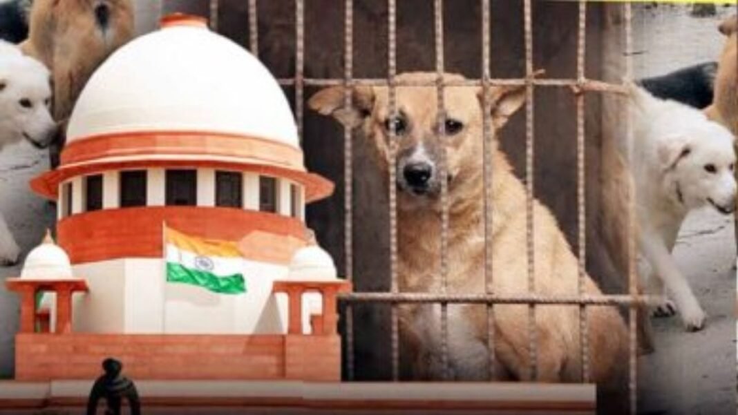 आवारा कुत्तों की वापसी पर सुप्रीम कोर्ट ने दिया फैसला – डॉग लवर्स-एनजीओ को 25 हजार से 2 लाख रुपये जमा करने का निर्देश