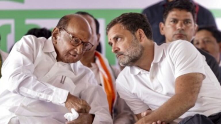 Maharashtra Assembly Elections 2024 : शरद पवार ने किया बड़ा दावा, बताया विपक्षी दलों को 160 सीटें जीताने वाले लोगों से हुई थी मुलाकात