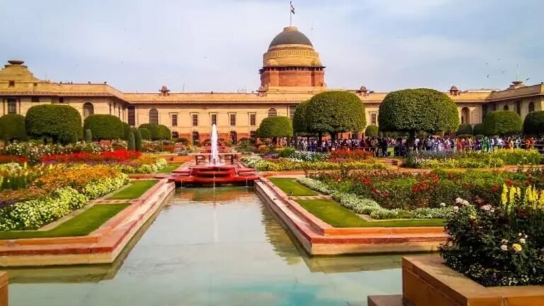 nishaanebaz.com (49)