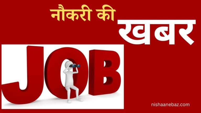 nishaanebaz.com (54)