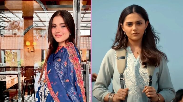 ‘Saiyaara Girl’ की हमशक्ल अमीमा सलीम खान ने पाकिस्तानी सोशल मीडिया पर मचाया तहलका…पढ़े पूरी खबर…