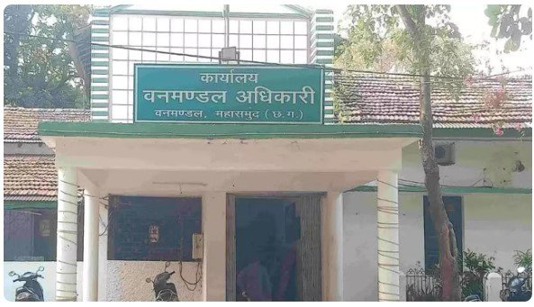 CG NEWS : महासमुंद में करंट की चपेट में आकर भालू की मौत: शिकार के लिए बिछाया गया था बिजली का जाल, संदिग्धों से पूछताछ जारी