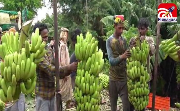 Burhanpur News