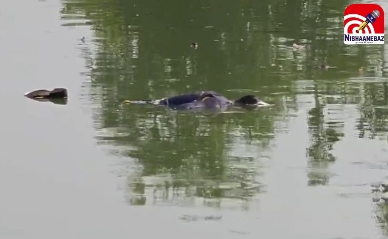 CG Crime News : सड्डू के शीतला तालाब में मिली अज्ञात युवक की लाश, क्षेत्र में फैली सनसनी…