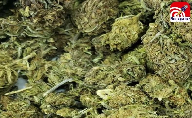 CG NEWS : राजधानी में पकड़ाया लाखों का गांजा…..