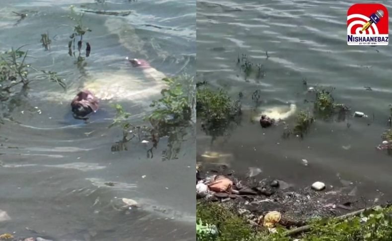 Gwalior Viral Video : रील के जुनून में युवक 15 मिनट तक पानी में उल्टा लेटा, फिर क्या हुआ देखें वीडियो…..