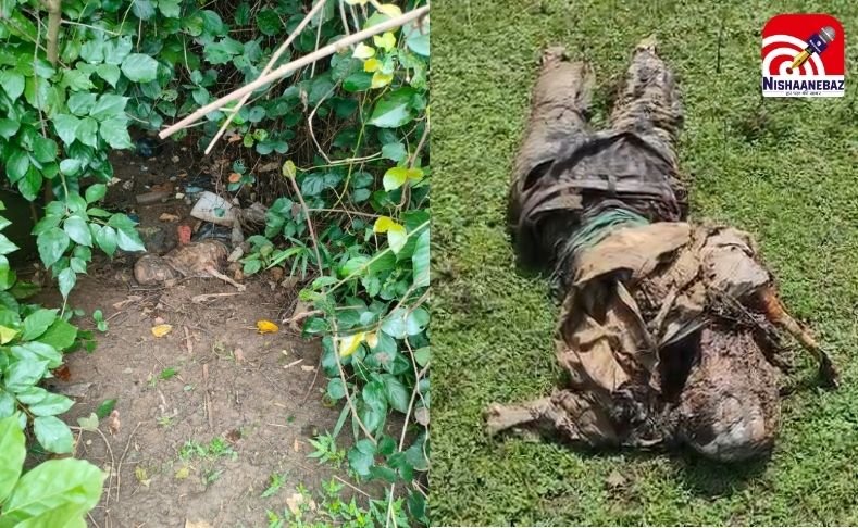 Jabalpur News : नाले से मिला मानव कंकाल, मचा हड़कंप…