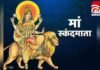 Shardiya Navratri 2025 Day 5 : नवरात्रि का पांचवां दिन मां स्कंदमाता की पूजा, जानें मंत्र, आरती और विशेष भोग Shardiya Navratri 2025 Day 5