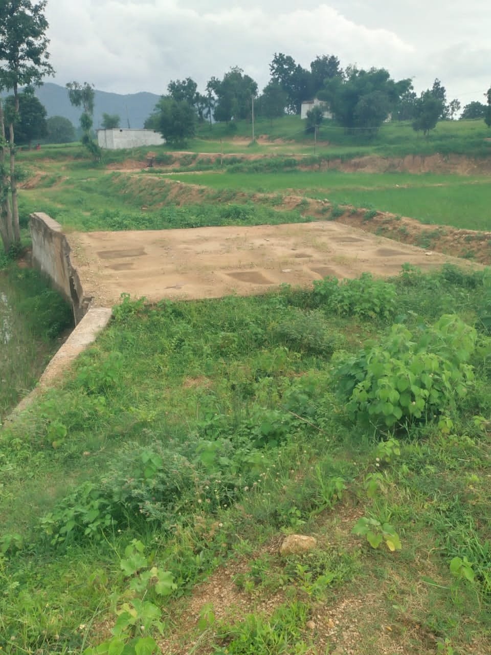 MP News : सिंगरौली में विधायक निधि से पुलिया निर्माण पर विवाद, ग्रामीणों ने घटिया काम और सड़क न होने पर जताया रोष