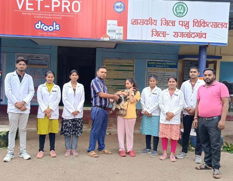 CG News : विश्व रेबीज दिवस पर पालतू जानवरों को टीका लगवाने की अपील