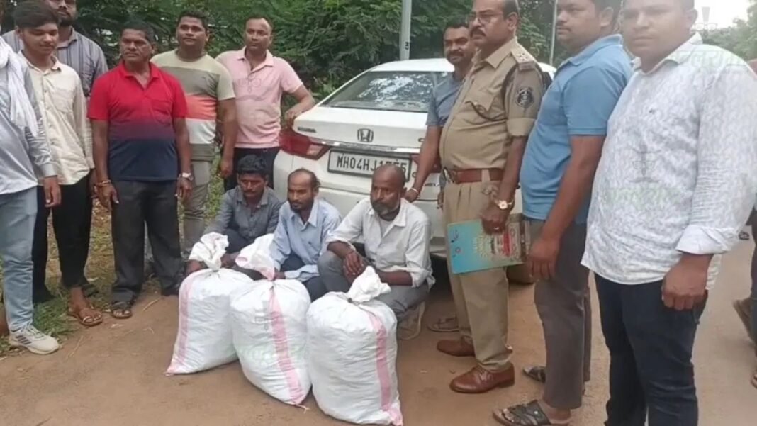CG News : नशे के खिलाफ बड़ी सफलता: ओडिशा से 27 किलो गांजा ले जा रहे 3 तस्कर गिरफ्तार, कार जब्त