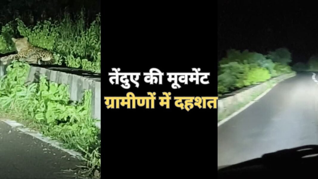 Jabalpur News : पाटन के बगदरी फॉल के पास तेंदुए की मूवमेंट, ग्रामीणों में दहशत, देखें वीडियो…