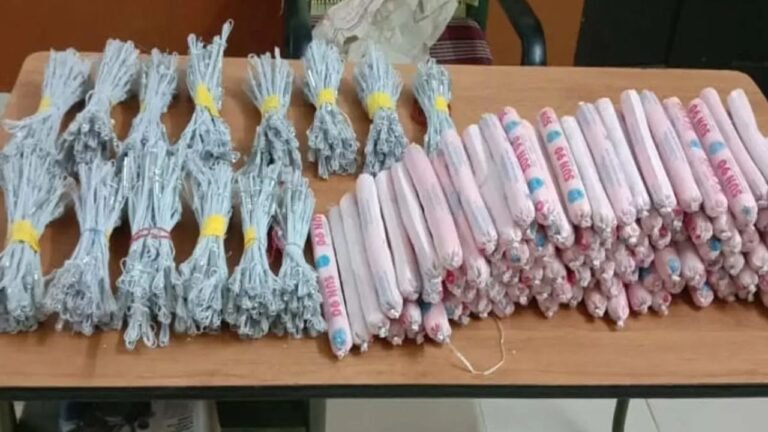 Satchel Charge : शहर में बड़ा खतरा! नासिक में बरामद हुए 6000 जिलेटिन स्टिक, आखिर क्या थी इन विस्फोटकों की प्लानिंग
