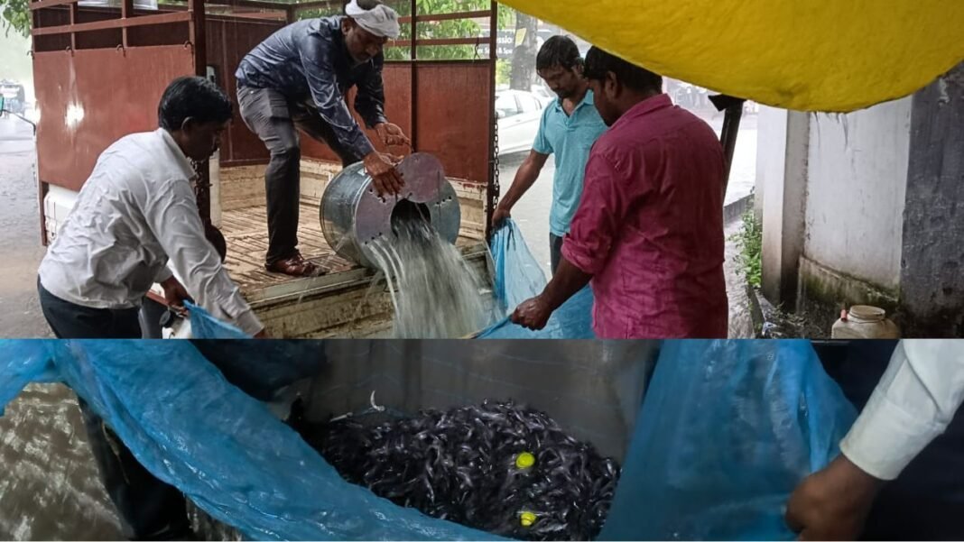 MP News : जबलपुर रेलवे स्टेशन पर पकड़ी गई प्रतिबंधित थाईलैंड मांगुर की मछली