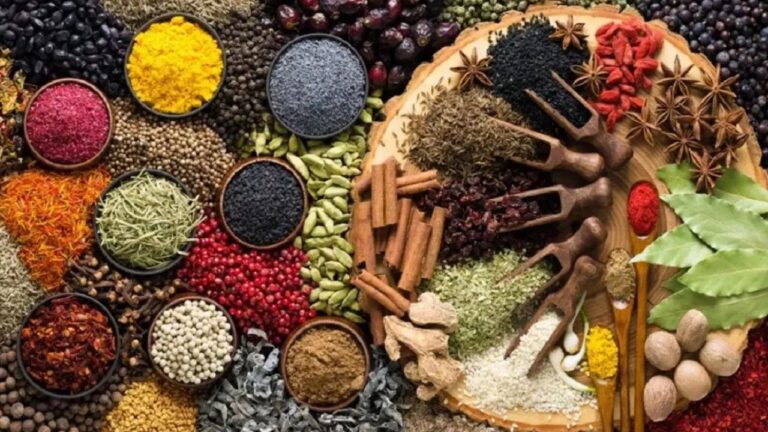 Spice Leader : भारत मसालों का महाराजा : 200 से ज्यादा देशों में निर्यात, जानें कैसे बना विश्व का स्पाइस लीडर