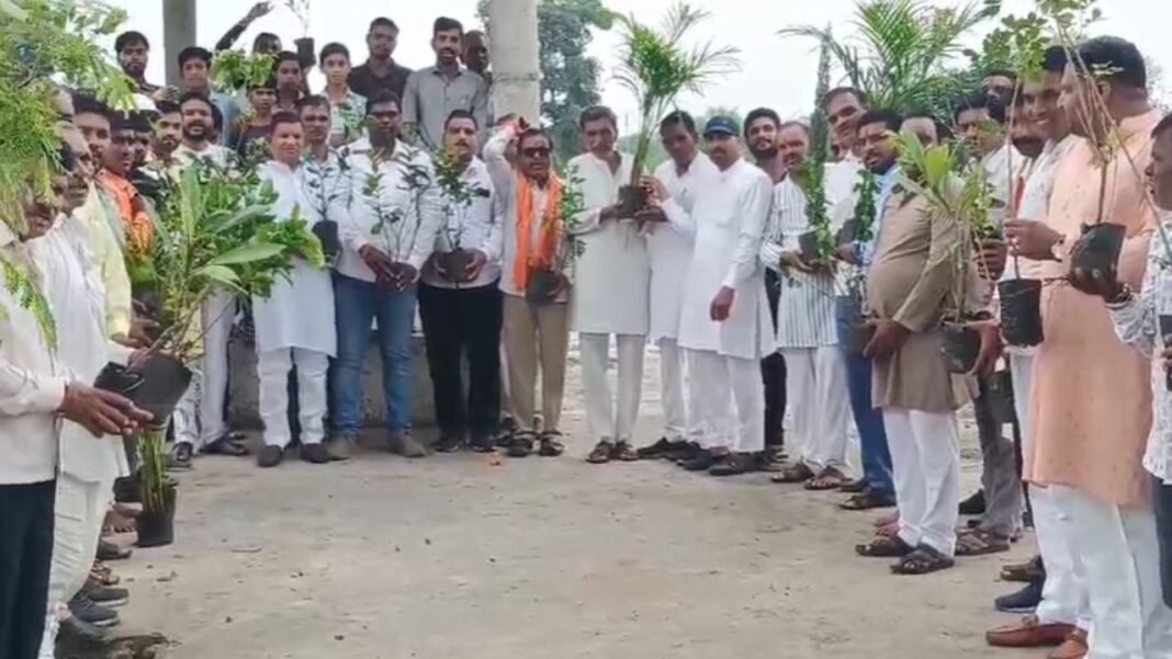 Shajapur News : ग्राम पंचायत में मां के नाम लगाए गए 251 पौधे, पर्यावरण संरक्षण की अनूठी पहल