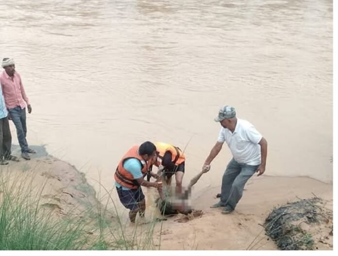Singrauli News Singrauli News