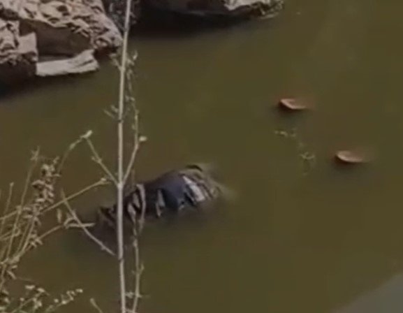 Tikamgarh News : पति की हत्या मामले में टीकमगढ़ कोर्ट का फैसला: पत्नी और प्रेमी को आजीवन कारावास की सजा