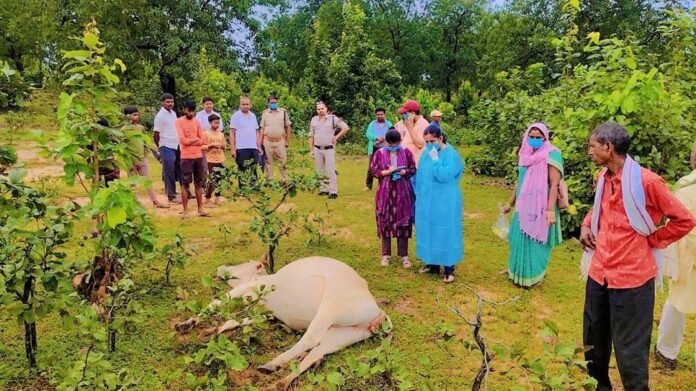 Singrauli News Singrauli News