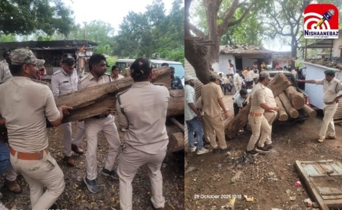 Burhanpur Van Vibhag Action Burhanpur Van Vibhag Action