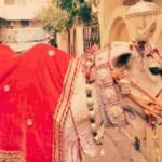 Govardhan Puja Special