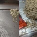 Gwalior Noodles Worms