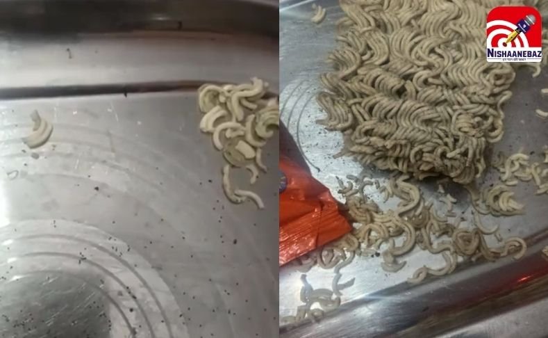 Gwalior Noodles Worms : नूडल्स के पैकेट में निकले कीड़े, युवक ने वीडियो बनाकर फूड विभाग से की शिकायत…..
