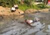 MP Burhanpur News : 4 करोड़ के नाले में लोटकर पार्षद पति का अनोखा विरोध…वीडियो वायरल MP Burhanpur News