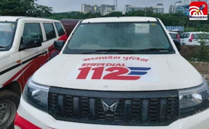 MP News (3) MP News