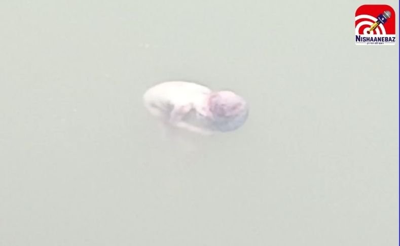 Panna Baby Body Found