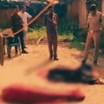 Raigarh Double Murder