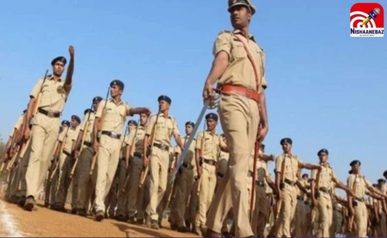 Sarkari Naukari