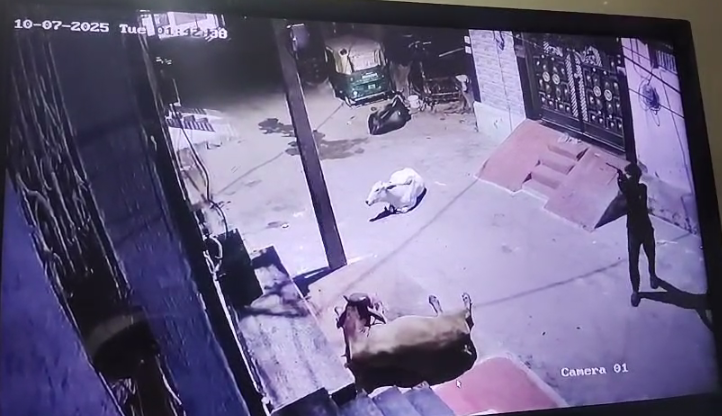 Gwalior : रात के सन्नाटे में ताबड़तोड़ गोलीबारी, घर में सो रहे परिवार ने बचाई जान; आरोपी की तलाश जारी