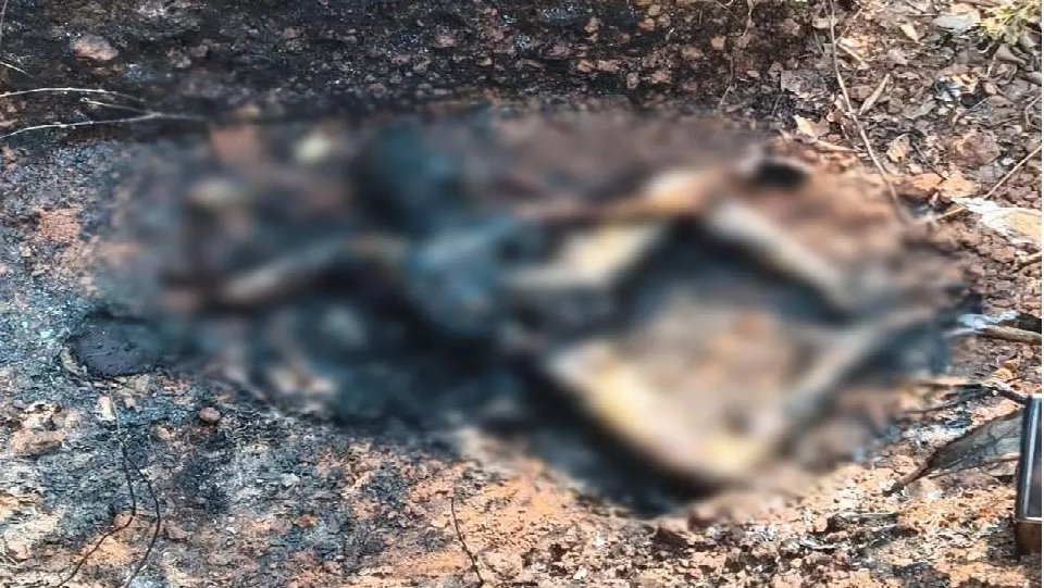 CG News : जशपुर में दिवाली पर दिल दहला देने वाली घटना, सड़क किनारे मिला जला शव