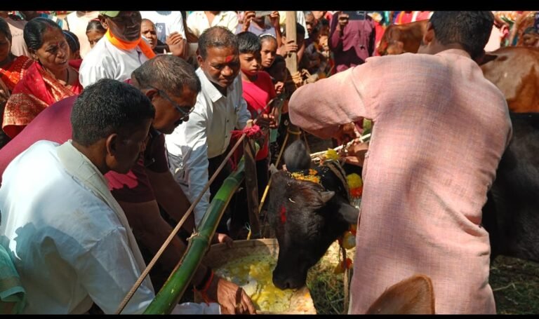 CG News : कोंडागांव : माकड़ी के जड़कोंगा में पशुधन विकास विभाग का भव्य मेला, 42 उत्कृष्ट पशुपालक सम्मानित