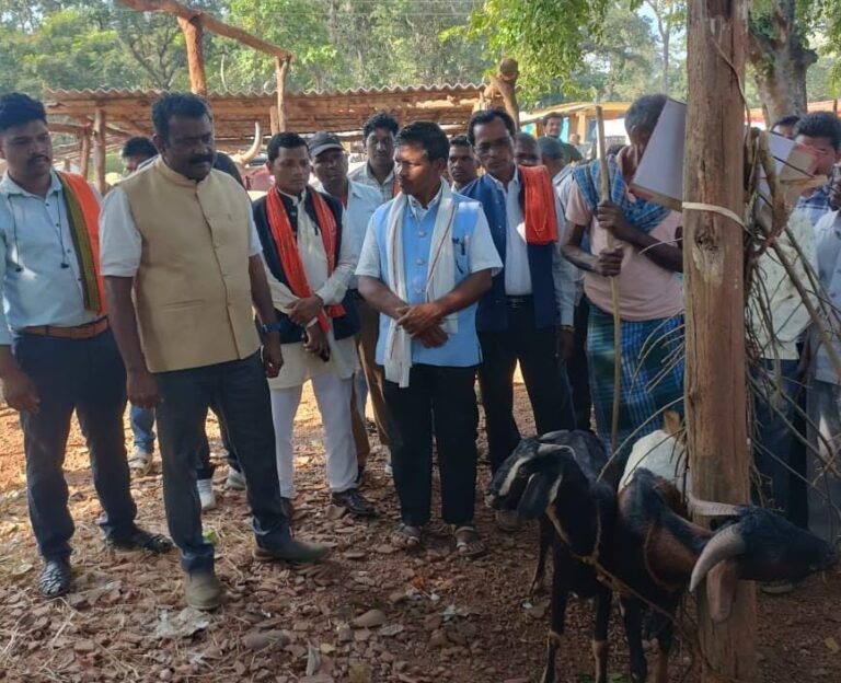 CG News : छत्तीसगढ़ रजत महोत्सव : बड़े राजपुर में विकासखंड स्तरीय पशु मेला आयोजित, किसानों को पशुपालन अपनाने की सलाह