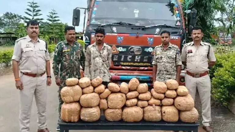 Ganja Smuggling : ओडिशा से यूपी-एमपी तक गांजा सप्लाई का खुलासा: नगरनार में 11.90 लाख का माल बरामद, तीन तस्कर गिरफ्तार