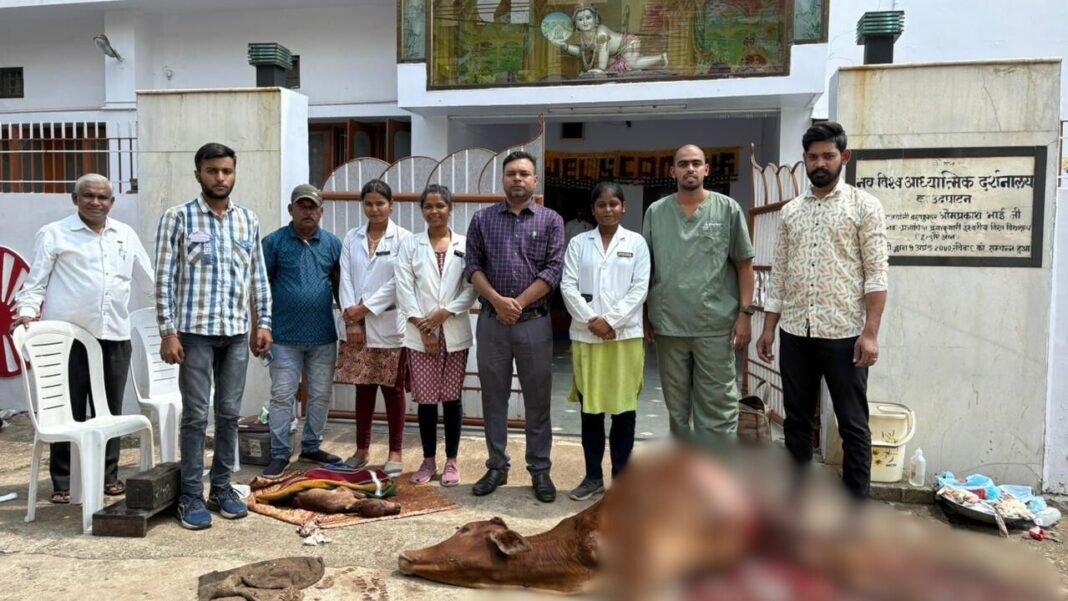 CG News : जिला पशु चिकित्सालय की तत्परता से बची गाय और बछड़े की जान, किया गया सफल सिजेरियन ऑपरेशन