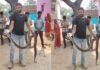 MP News : टीकमगढ़ में 10 फुट लंबे अजगर का सफल रेस्क्यू, ‘सांपों का रखवाला’ अमर सिंह लोधी ने सुरक्षित जंगल में छोड़ा