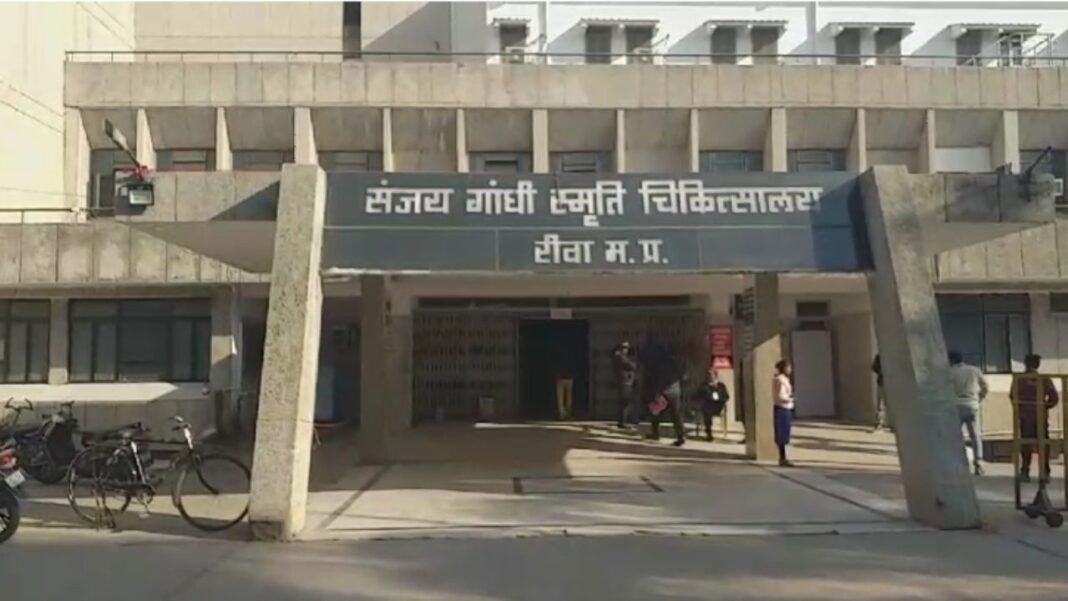 Carbide gun injury : रीवा के लिए राहत भरी खबर : Carbide Gun Injury 14 फायर क्रैकर मरीज प्राथमिक उपचार के बाद डिस्चार्ज