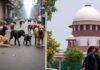 Report On Stray Dogs : सुप्रीम कोर्ट की कड़ी फटकार : आवारा कुत्तों के हमलों पर रिपोर्ट न देने वाले राज्यों पर नाराज़गी, चीफ सेक्रेटरी ने दी चेतावनी, कहा…