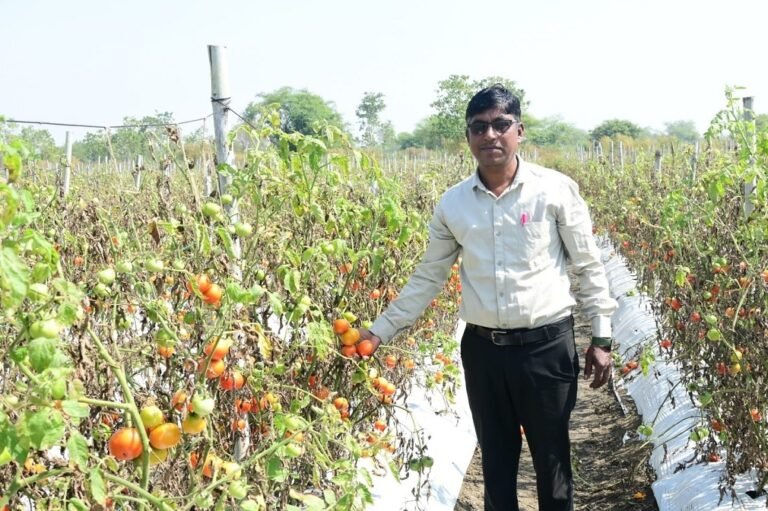 Rajnandgaon News