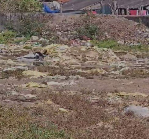 sukma News : छत्तीसगढ़ में धान खरीदी तो शुरू हो गई, लेकिन सुकमा जिले के धान केंद्रों पर अभी भी लगा हुआ हैं ताला, किसान परेशान