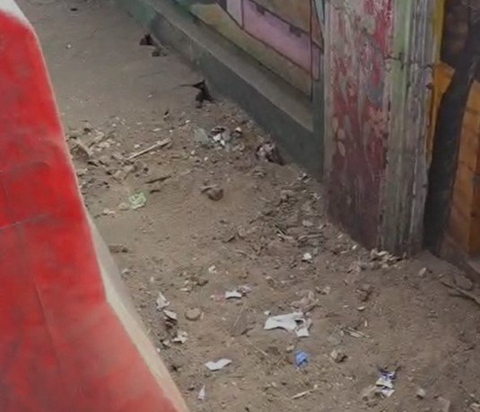 Indore News : नगर निगम के एमआईसी सदस्य ने किया निरीक्षण, गांधी प्रतिमा स्थल और शास्त्री ब्रिज पर जल्द शुरू होंगे सुधार कार्य, बड़ा हरा होने के पहले जागा नगर निगम