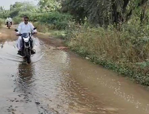 Barwani News : बड़वानी में नहर फूटी, किसानों की बढ़ी परेशानी खेतों के बजाय रास्तों पर बह रहा पानी, मरम्मत की मांग, देखें वीडियो