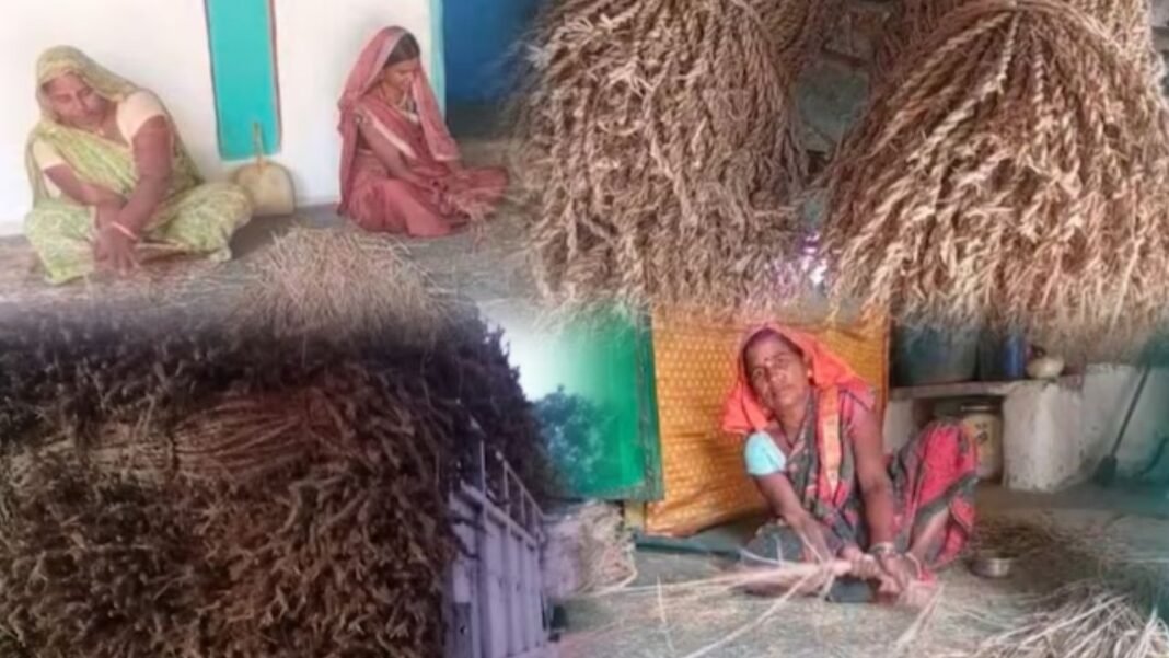 Success Story : हर घर में सफलता की चमक, छत्तीसगढ़ का यह गांव बना नोट छापने का केंद्र