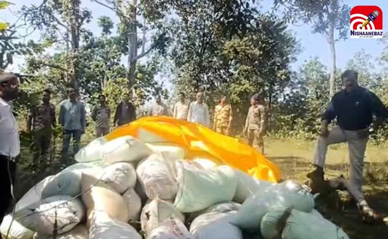 Balrampur SDM Statement : SDM का वॉर्निंग शॉट : जंगल में 143 बोरी अवैध धान जब्त बोले जॉनी, तुम झुकेगा नहीं, तब तक हम रुकेगा नहीं…