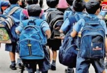 CG News: छत्तीसगढ़ के छात्रों के लिए बड़ी खुशखबरी, दशहरा-दिवाली से लेकर विंटर वेकेशन तक 15 दिन छुट्टी School